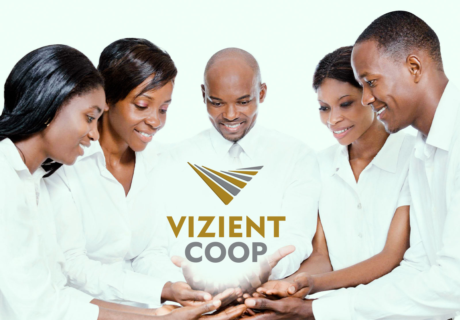 Evolution of African Prosperity: Volition Coop Rebrands as Vizient Coop