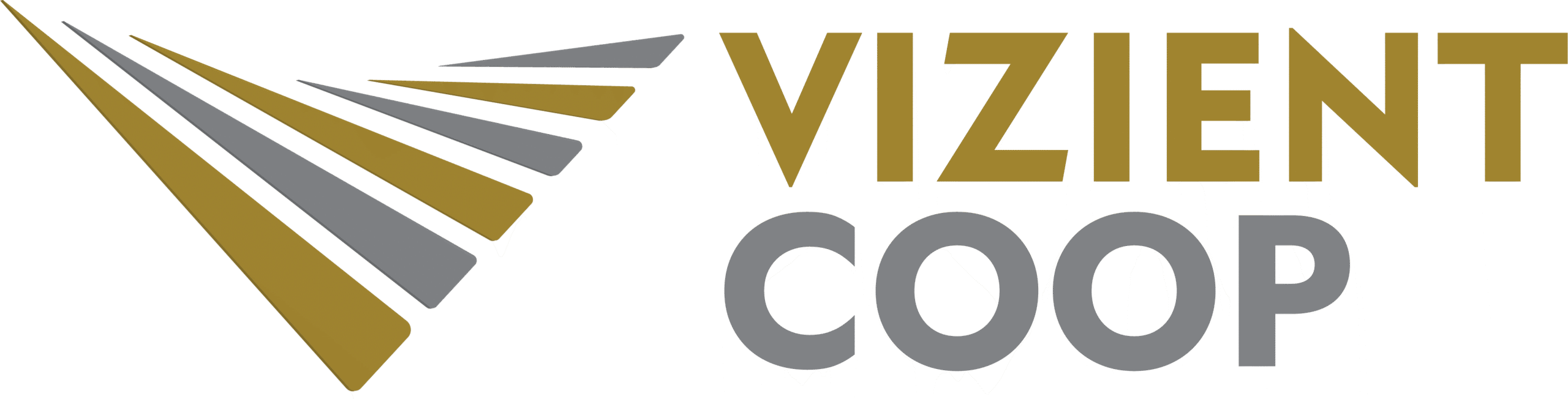 vizient-logo-landscape